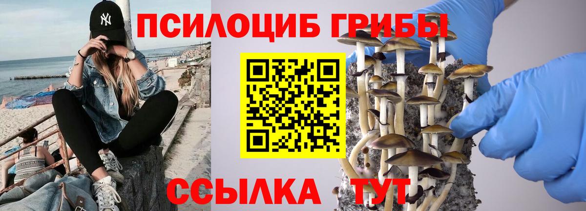 Ипатово  Псилоцибиновые грибы MAGIC MUSHROOMS  Вход с VPN  Галлюциногенные грибы Psilocybine cubensis 